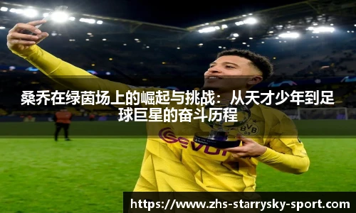 桑乔在绿茵场上的崛起与挑战：从天才少年到足球巨星的奋斗历程